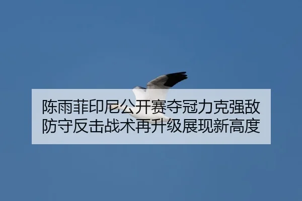 陈雨菲印尼公开赛夺冠力克强敌 防守反击战术再升级展现新高度